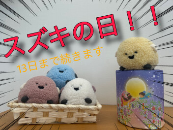 スズキの日開催中！！！！夏の大チャンス！！！ヾ(≧▽≦)ﾉ